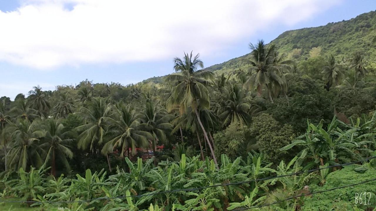 Lai Son Homestay View Doi Hon Son מראה חיצוני תמונה